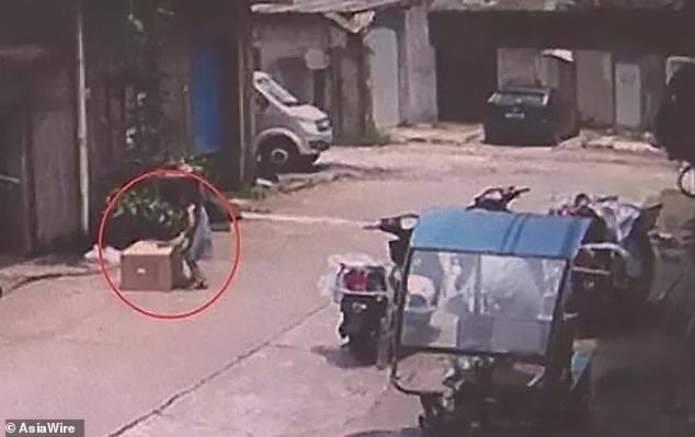 Bé gái chui vào thùng carton đặt giữa đường