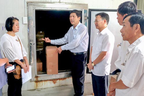 Lãnh đạo huyện Gio Linh cùng Sở Khoa học Công nghệ tỉnh Quảng Trị kiểm tra cá nục tồn kho của người dân và đưa ra hướng "giải cứu". Ảnh: H.N.K
