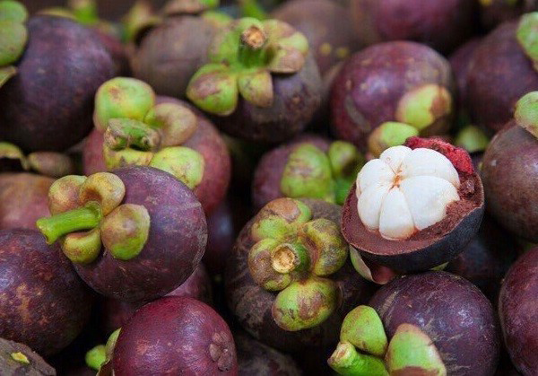 Chọn măng cụt có vỏ rám nâu sẽ chín và ngon hơn loại có vỏ đỏ