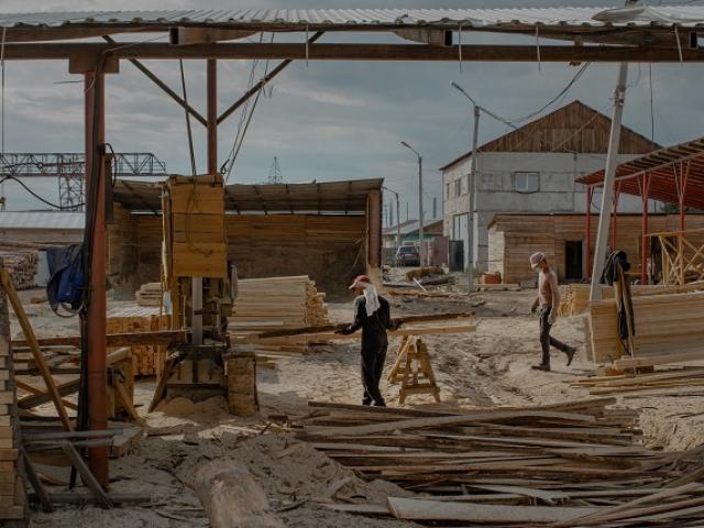 Thế giới - Người Trung Quốc trong “cơn khát” gỗ, xóa sổ những cánh rừng ở Nga