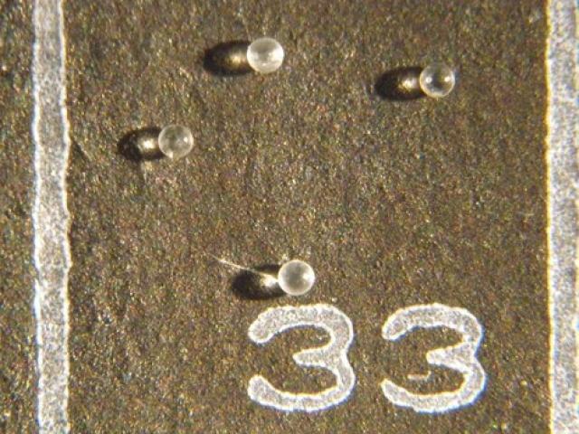 Du lịch - Sau 1 thập kỷ cất giữ, người đàn ông giật mình phát hiện báu vật ngoài trái đất