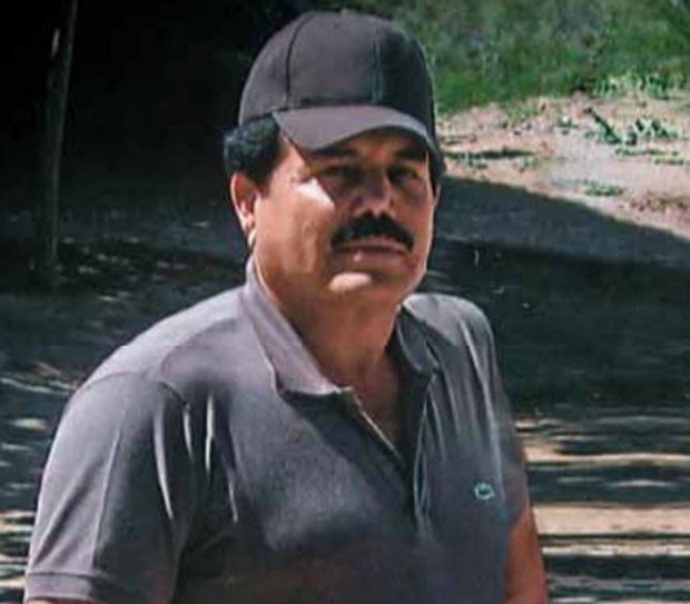 El Mayo là một trong những thành viên sáng lập cuối cùng của băng đảng Sinaloa ở Mexico.
