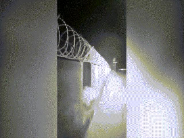 Thế giới - Video: Nửa đêm gấu phá hàng rào, đột nhập căn cứ quân sự Nga