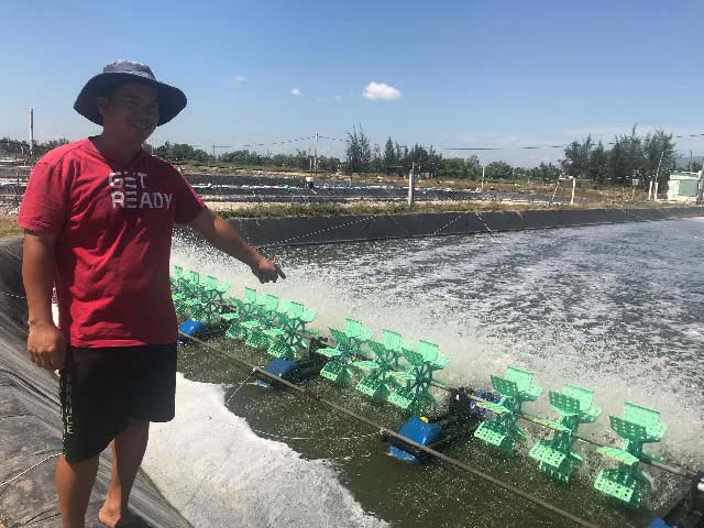 Mô hình nuôi tôm thẻ chân trắng lót bạt trên cát của anh Trần Văn Hận cho lãi trên 200 triệu đồng/năm.