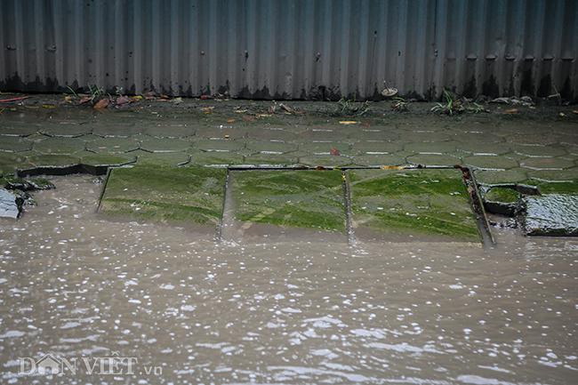 Ngập nước quá lâu nên hai bên vỉa hè phủ đầy rêu xanh, trơn trượt, người đi bộ qua đây cũng phải hết sức dè chừng.