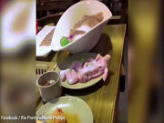 Phi thường - kỳ quặc - Video: Thịt gà sống bỗng nhiên chuyển động trên bàn ăn khiến nhiều người kinh hãi