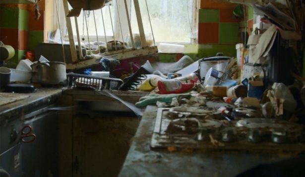 Rùng mình với căn nhà không quét dọn trong 5 năm - 4