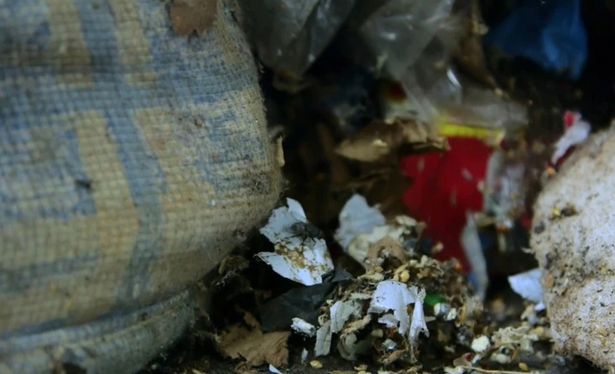 Rùng mình với căn nhà không quét dọn trong 5 năm - 2