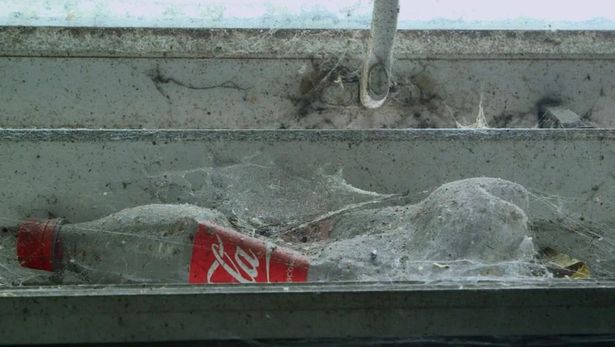 Rùng mình với căn nhà không quét dọn trong 5 năm - 5