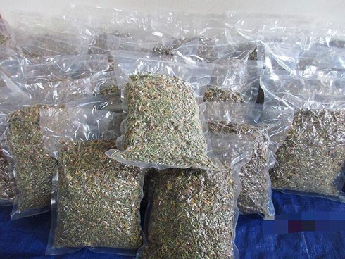 Giá 1kg hoa đu đủ đực khô khá đắt đỏ, dao động từ 800.000-1,5 triệu đồng.