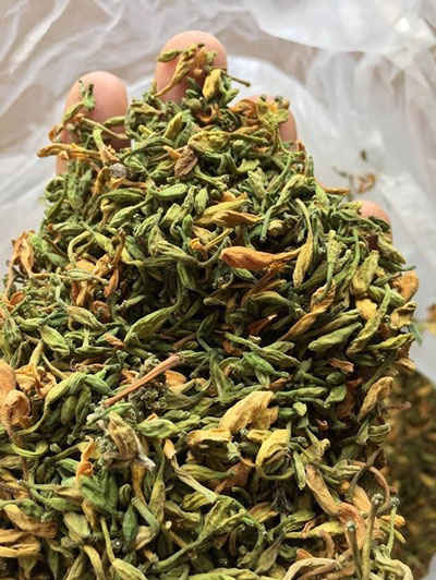 Hoa đu đủ có vị đắng nhẹ, thường sắc nước uống hoặc ngâm với mật ong để bồi bổ sức khỏe.