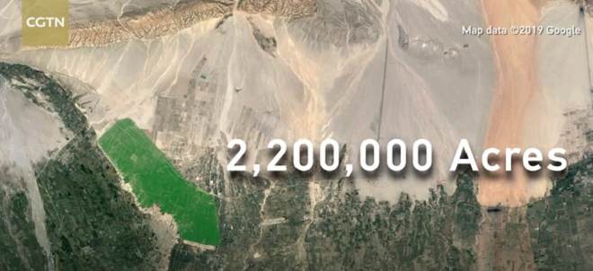 Tổng diện tích được phủ xanh lên tới&nbsp;890.000 hecta.