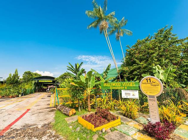 10 địa điểm ít người biết đến nhưng khiến du khách trầm trồ ở Singapore - 7