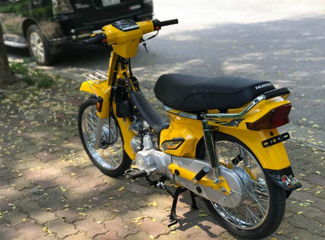 Nổi bật trong ánh nắng mùa hè.