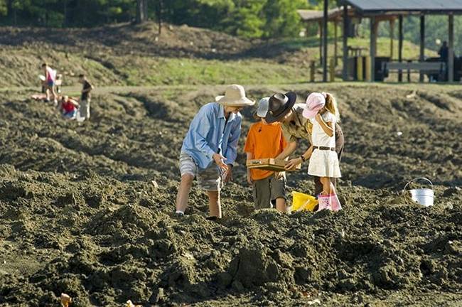 Du khách muốn vào phải mua vé trong đó trẻ 6-12 tuổi mua vé 4 USD &#40;~92.000 đồng&#41;, còn người lớn 7 USD &#40;~150.000 đồng&#41;.