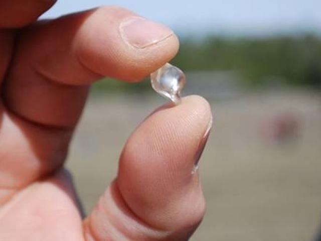 Kinh doanh - Nơi nhặt kim cương, vàng thỏa thích, tìm được mang về nhà không tốn một xu