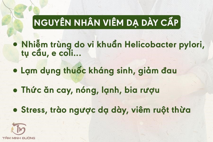 Những nguyên nhân viêm dạ dày cấp