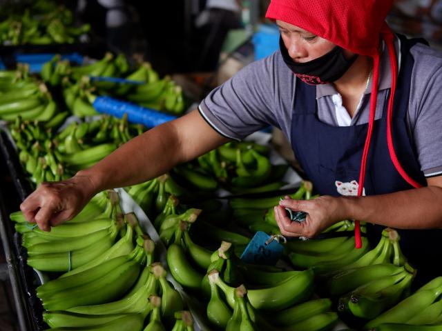 Thế giới - Trung Quốc lấy lòng Philippines nhờ... chuối