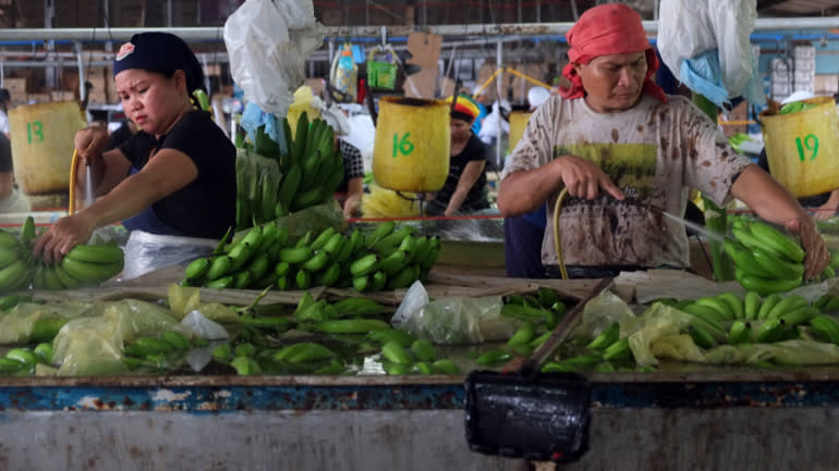 Trung Quốc lấy lòng Philippines nhờ... chuối - 3