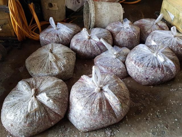 Thị trường - Tiêu dùng - Bí ẩn những thương lái đi mua vảy cá