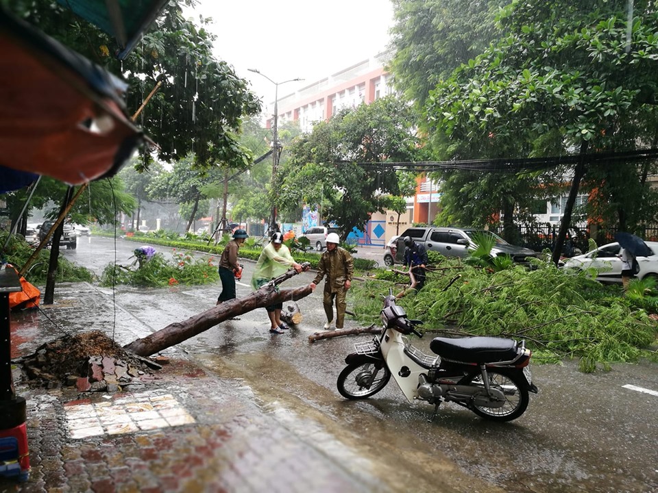 Cây đổ trên đường Nguyễn Quý Đức, Hà Nội