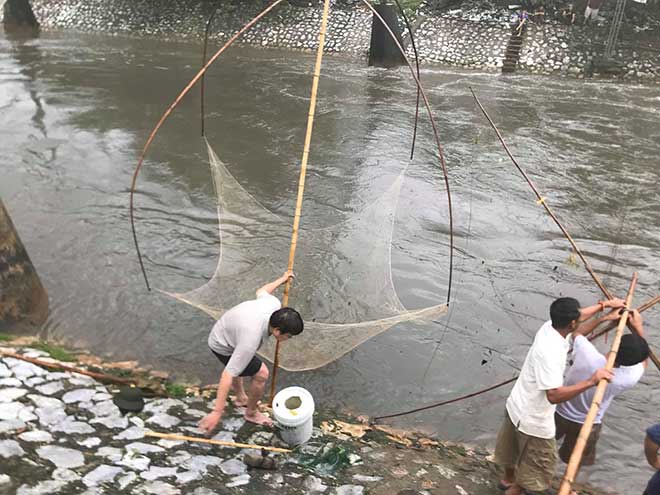 Người dân Hà Nội buông cần, giăng lưới bắt cá sau bão số 3 - 2