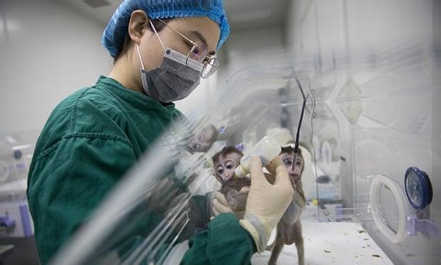 Mẫu vật khỉ-người gây tranh cãi ở Trung Quốc. Ảnh: XINHUA