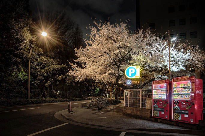 Hình dáng máy và sản phẩm được bán khá đồng nhất ở khắp Nhật Bản. Ảnh: Eiji Ohashi