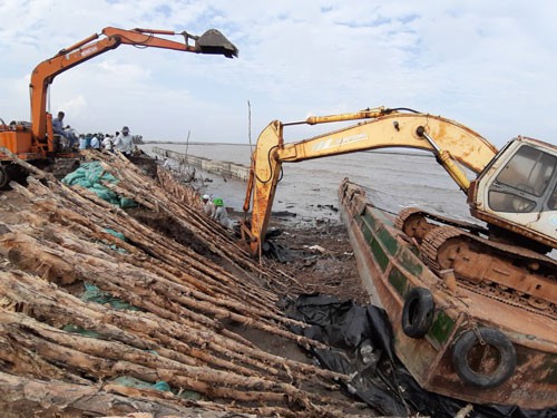 Các lực lượng cứu đê biển Tây ở Cà Mau. Ảnh: VÂN DU