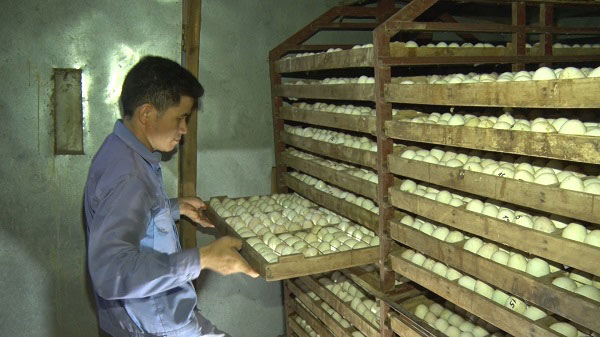 Phú Thọ: Gia trang sinh thái &#34;ôm đồm đủ thứ&#34; của tỷ phú tên Huệ - 4