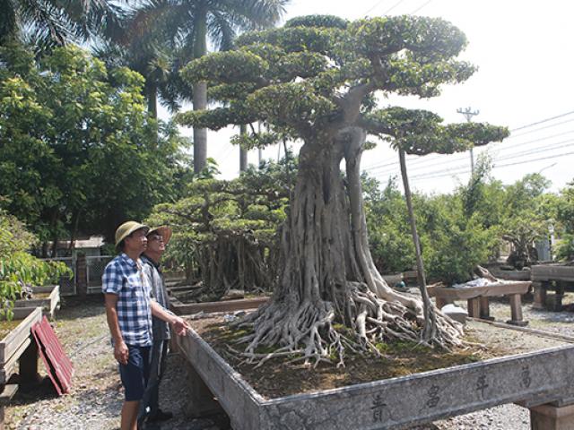 Thị trường - Tiêu dùng - "Cột cờ Hà Nội" giá 2 tỷ, chủ nhân vẫn nhất quyết không bán