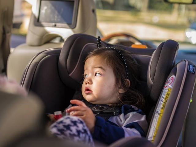 Thế giới - Nhận diện "hung thần" thường xuất hiện khi trẻ em bị khóa kín trên ô tô