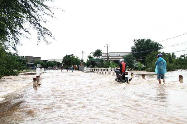 Một cây cầu trên tỉnh lộ 1 (huyện Buôn Đôn) bị ngập, gây ách tắc giao thông.