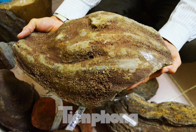 Một "bom núi lửa" có hình dạng như quả bàng khô
