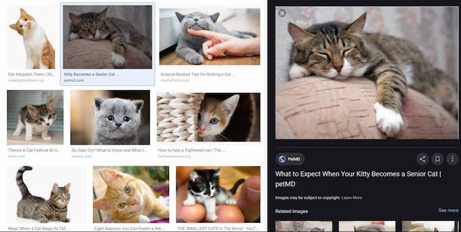 Google Images được thiết kế lại với bảng điều khiển bên phải để dễ dàng so sánh kết quả - 1