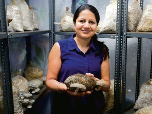 Thị trường - Tiêu dùng - Chỉ cần 9m2 sân thượng trồng thứ này, chẳng đi làm ở nhà "hốt" tiền triệu