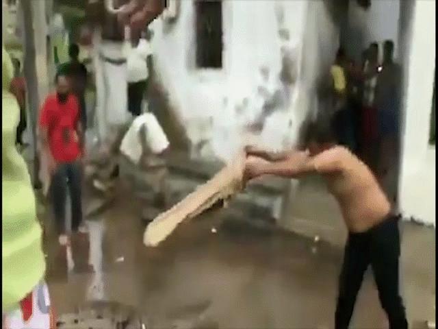 Thế giới - Ấn Độ: Cá sấu "nổi loạn" trên phố, người đàn ông dùng chiêu đặc biệt khuất phục