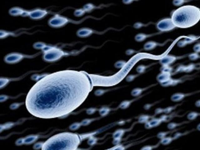 Sức khỏe đời sống - 8 quan niệm sai lầm về “con giống” của quý ông, nhiều người vẫn tin "sái cổ"