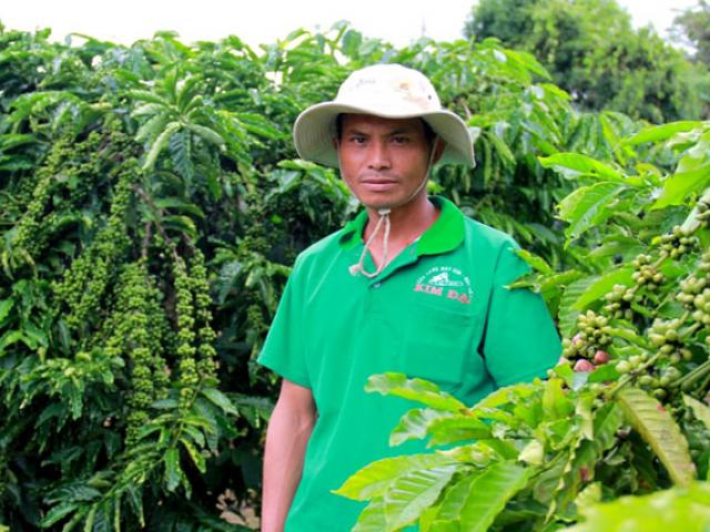 Thị trường - Tiêu dùng - Ly kỳ chuyện tỷ phú người Rơ Ngao cắp sách đi học trồng cà phê