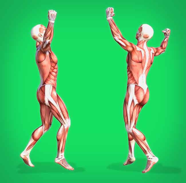 6 môn thể thao đơn giản nhưng giúp kéo dài tuổi thọ - 1