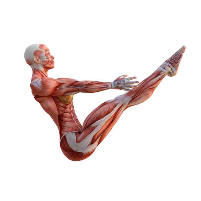 6 môn thể thao đơn giản nhưng giúp kéo dài tuổi thọ - 2