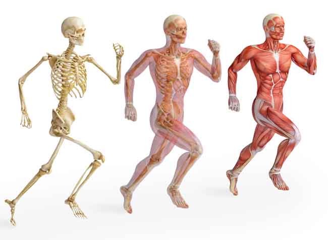 6 môn thể thao đơn giản nhưng giúp kéo dài tuổi thọ - 3