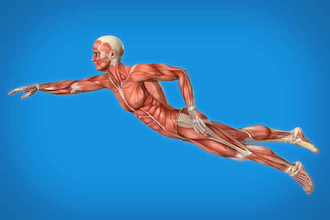 6 môn thể thao đơn giản nhưng giúp kéo dài tuổi thọ - 5