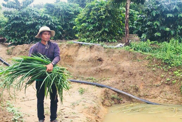 Với A Thi, từ trên đồi cao xuống dưới ao tưới đều có thể kiếm ra tiền 