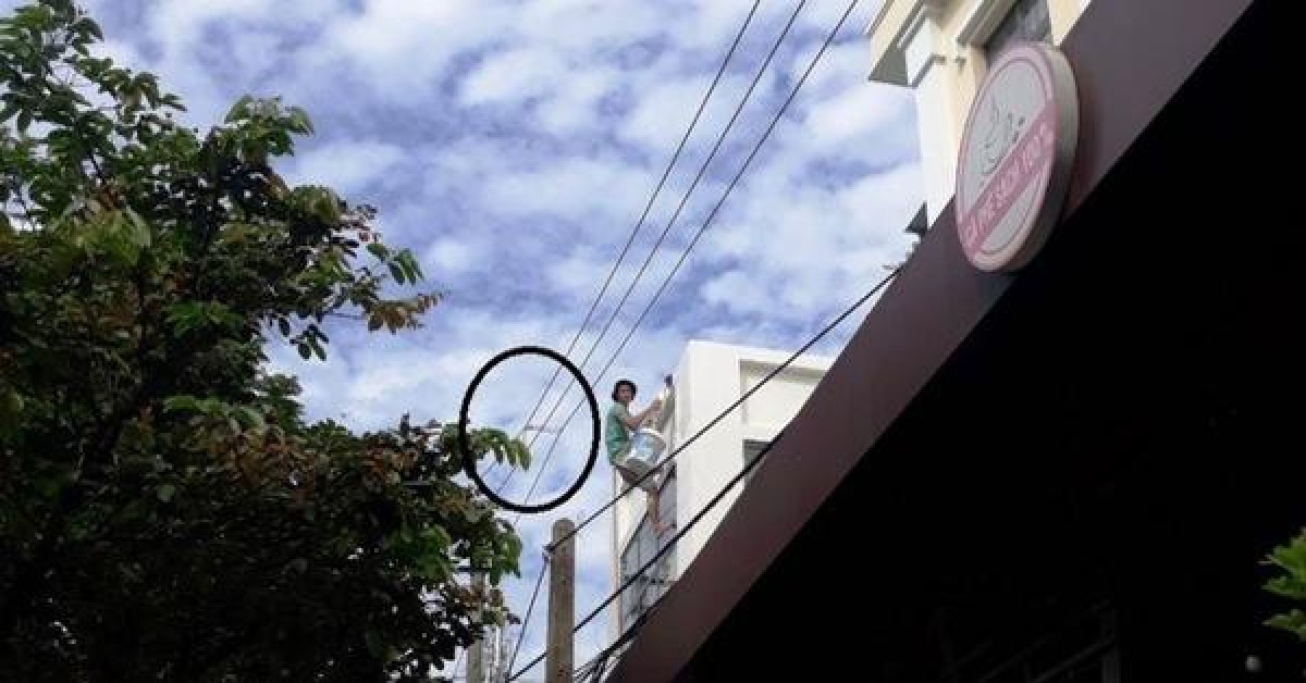 Tin tức trong ngày - Thợ sơn liều lĩnh buộc 3 dây điện trung thế để tiện sơn vôi mặt tiền