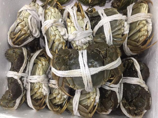 Một con cua lông chỉ nặng 100-250 gram nhưng có giá lên tới 350.000-900.000 đồng, thậm chí là hàng triệu đồng nên đây là một trong những loại cua đắt đỏ nhất thế giới.