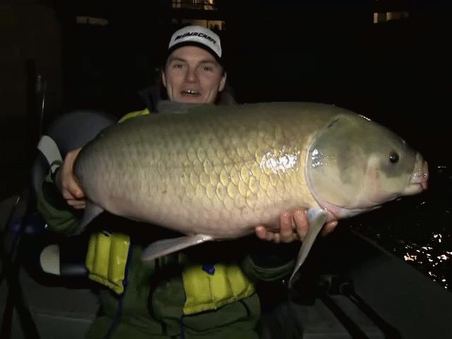 Thế giới - NÓNG nhất tuần: Phát hiện "cụ" cá nước ngọt già chưa từng có, sống qua hai lần Thế chiến