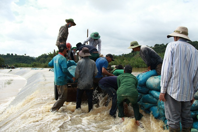 Những người đàn ông không kể già trẻ, bì bõm lội nước đỡ bao đất đắp các đoạn đê bị tràn nước.