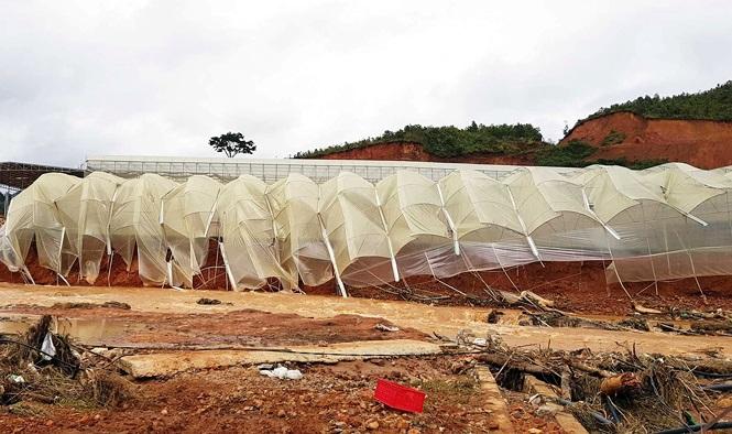 Nhà kính trồng rau hoa ngã đổ .