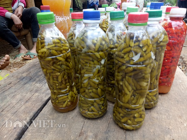 Những lọ ớt ngâm nhìn bắt mắt, trông rất ngon.